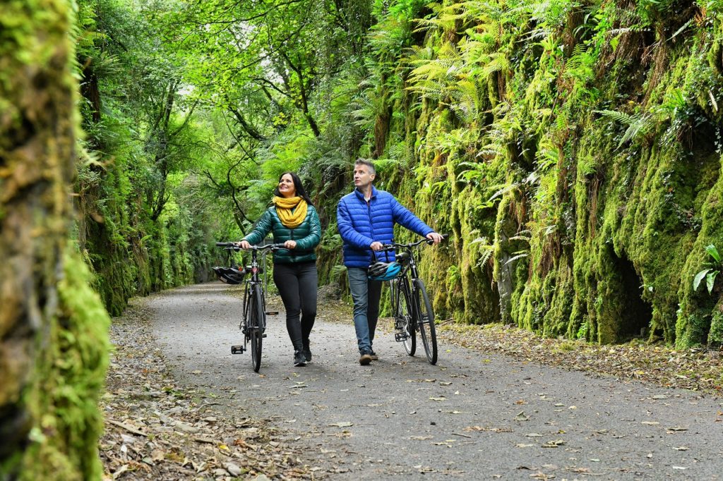 Syklister - Skog - Waterford - Irland