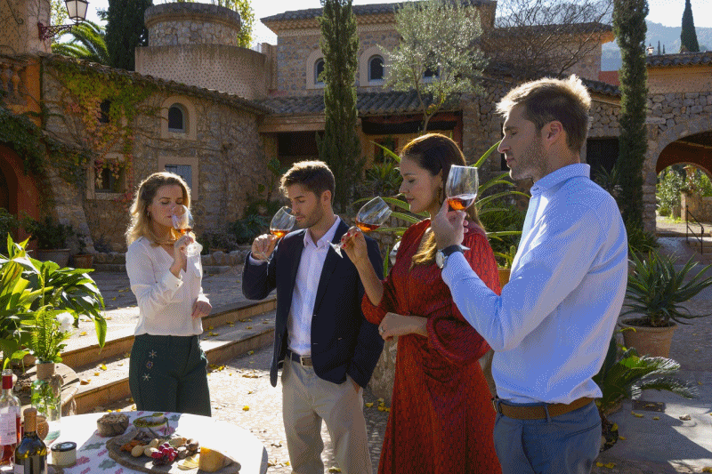 Bildestrøm -Vingårder - Gastronomi - Mallorca - Balearene - Spania