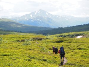 Turgåere - Tespdalen - Saltfjellet-Svartisen Nasjonalpark - Statskog