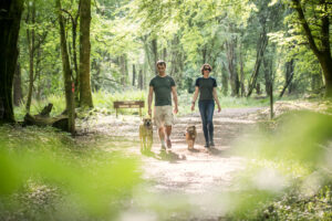 Hundevennlige Irland - Fra Portumna Forest Park