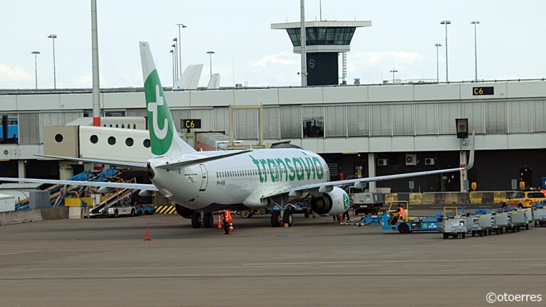 Boeing 737-800 - Transavia - Amsterdam - Schiphol