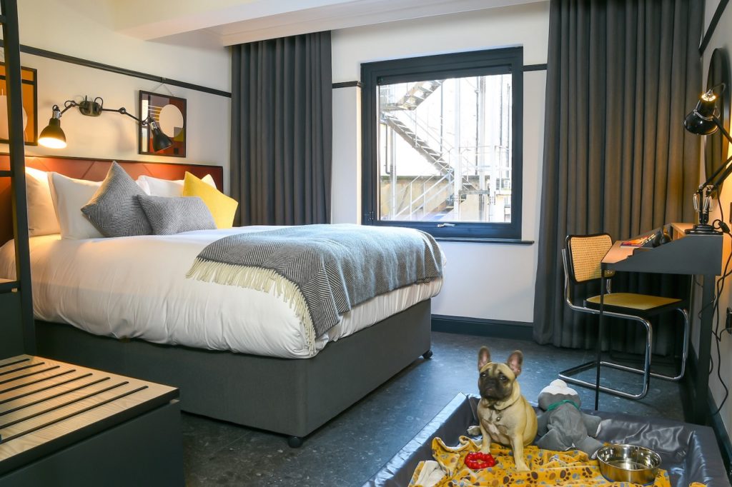 Hundesuite - The Mont - Hotell - Dublin - Irland
