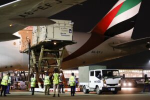 Hestetransport - ankomst - Haneda Airport - Tokyo-OL - 2021
