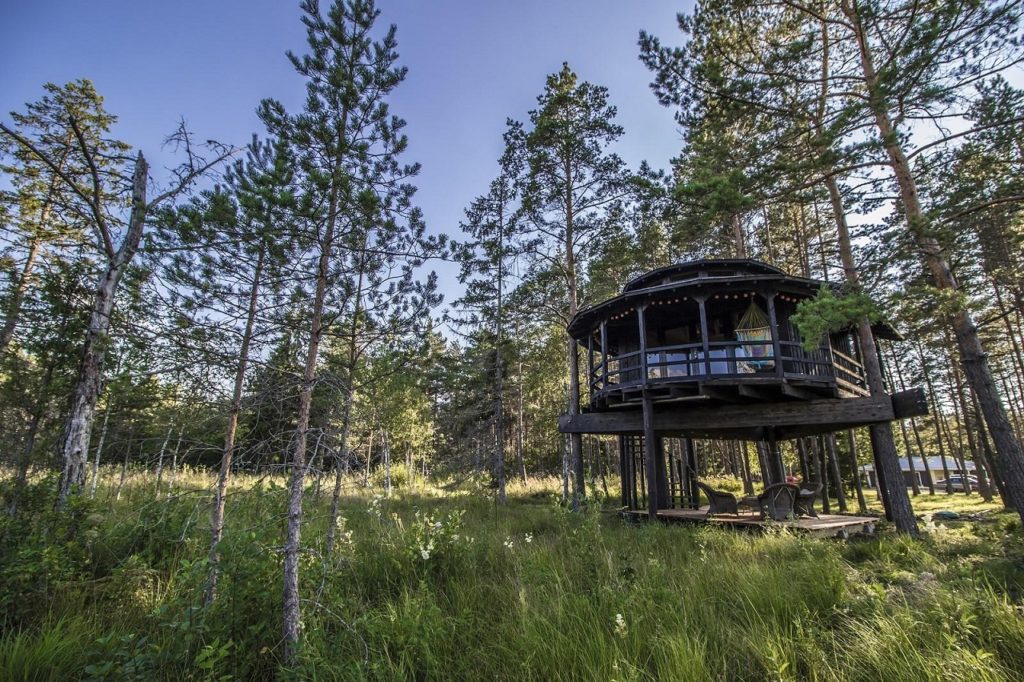 Hus i trærne - Hage - Overnatting - Estland