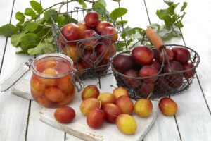 Plommer - Norge - OFG - Opplysningskontoret for frukt og grønt