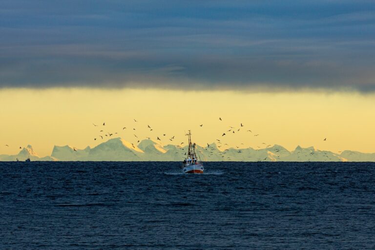 Lofotfiske - Fiskeskøyte - Måker - Reiser i inland - Bok