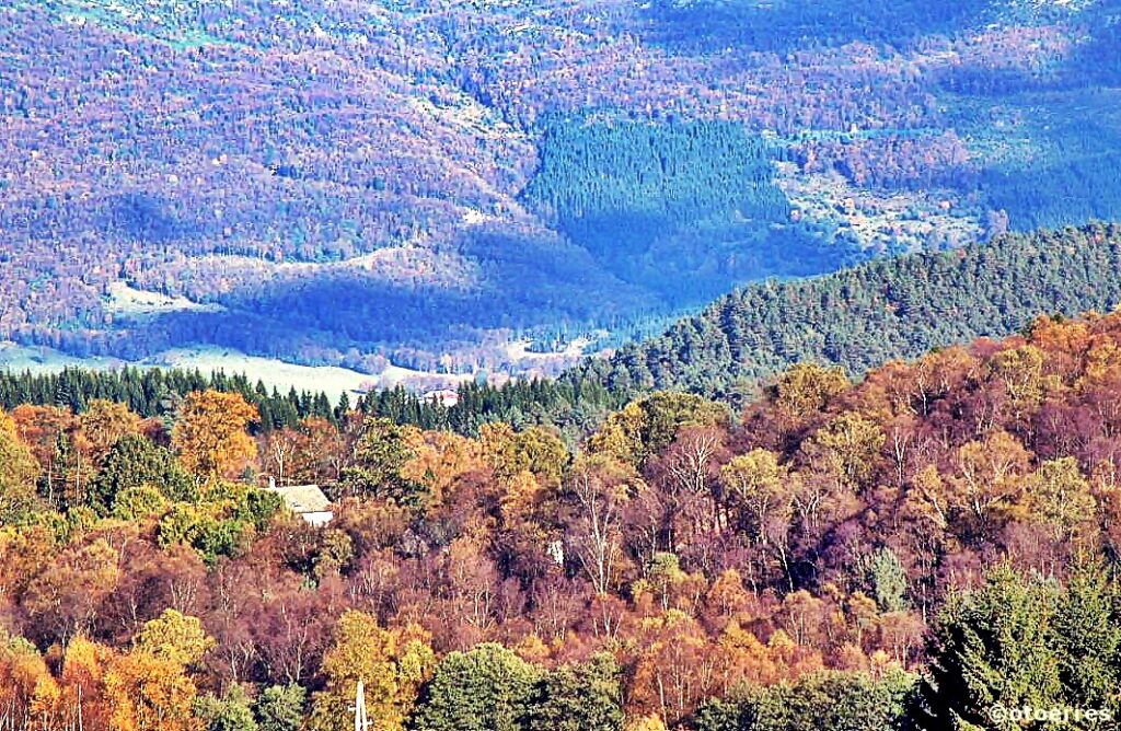 Høst - Blikabygda - Øvre Vats - Vindafjord - Rogalsnd