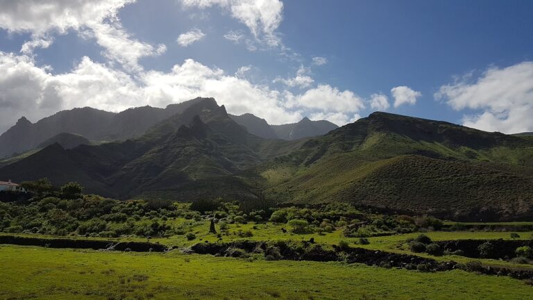 Valle de Agaete - Gran Canaria - Kanariøyene - Spania