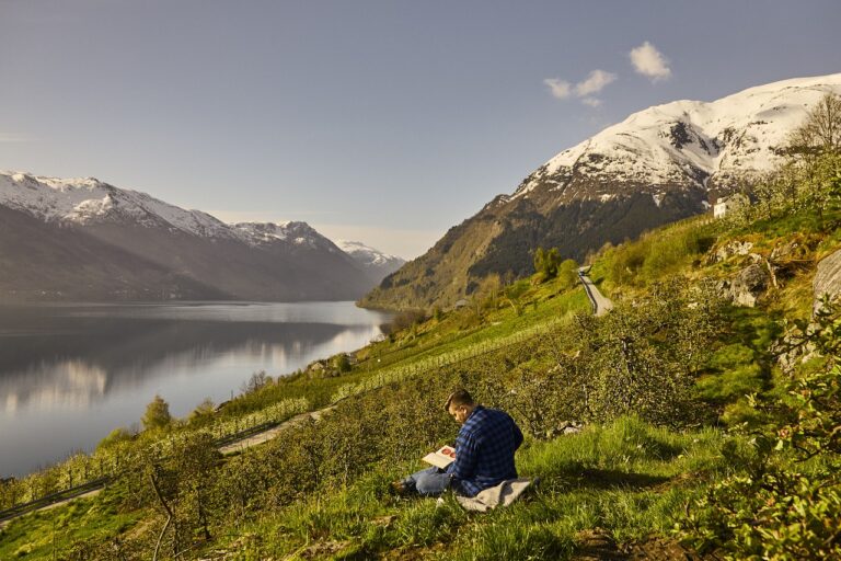 Epler - Siderproduksjon - Sidersafari - Næringsutvikling - Hardanger - Innovasjon Norge