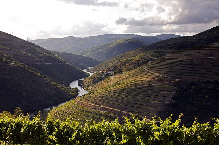 Dourodalen - Portugal - Elv - porto - Atlanterhavet