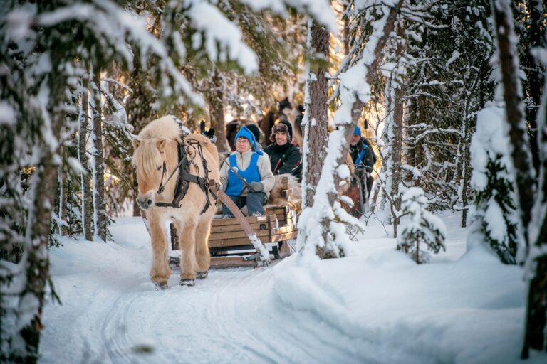 Kanefart - Hest - Slede - Trysil - Østerdalen - Hedmark - Innlandet