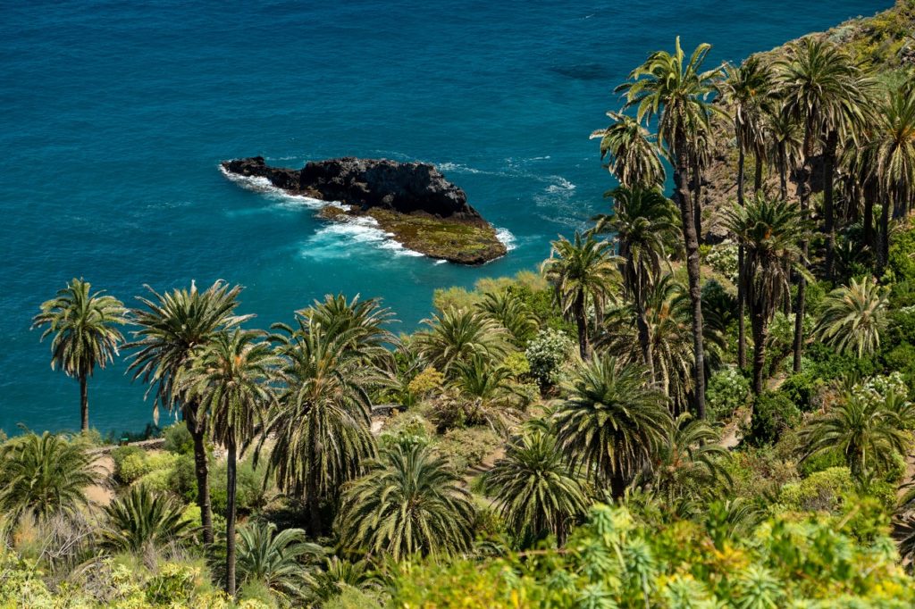 Rambla de Castro - Tenerife - Kanariøyene - Spania