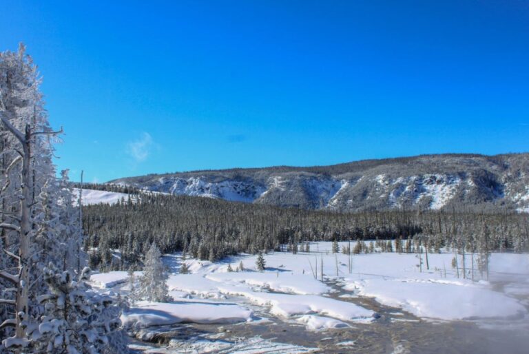 Yellowstone National Park - Wyoming - USA