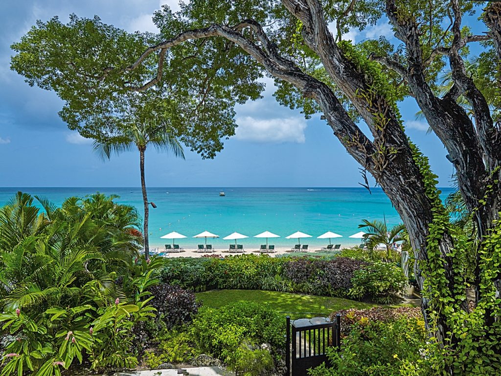Coral Cove - Barbados - Karibien