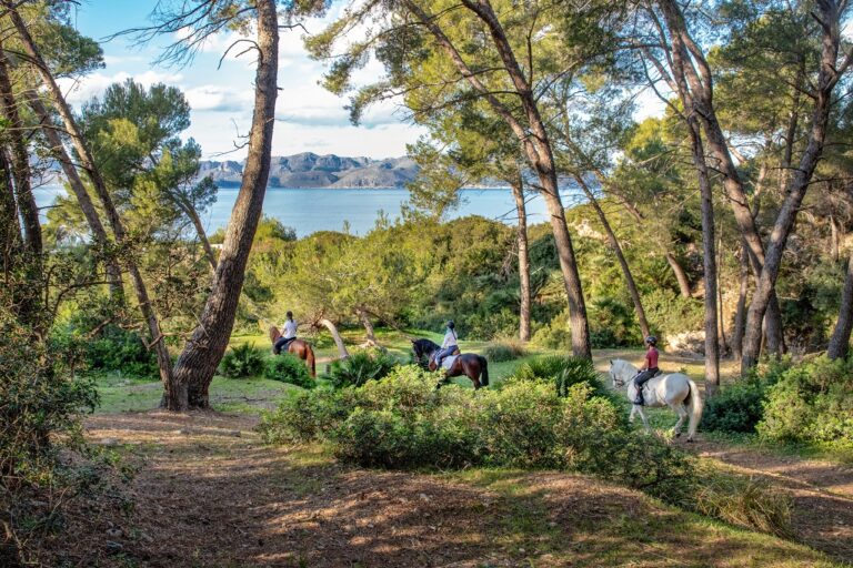 Ridetur - Naturen - Innland - Mallorca - Spania