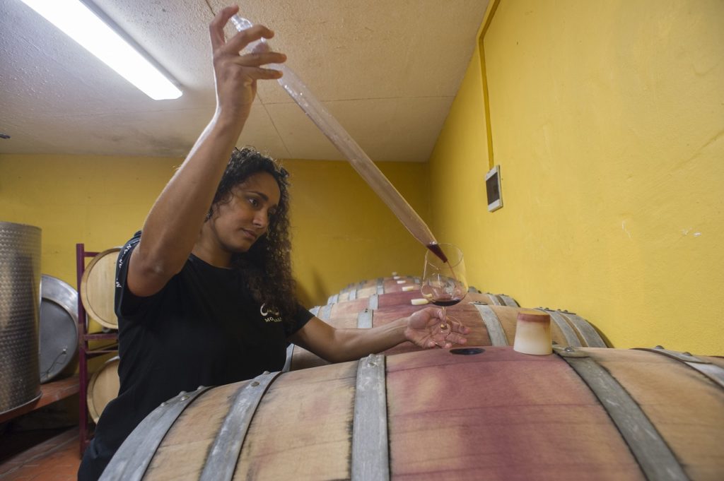 Tamara Cruz - Vinprodusent - Mondalón - Gran Canaria - Kanariøyene- Spania