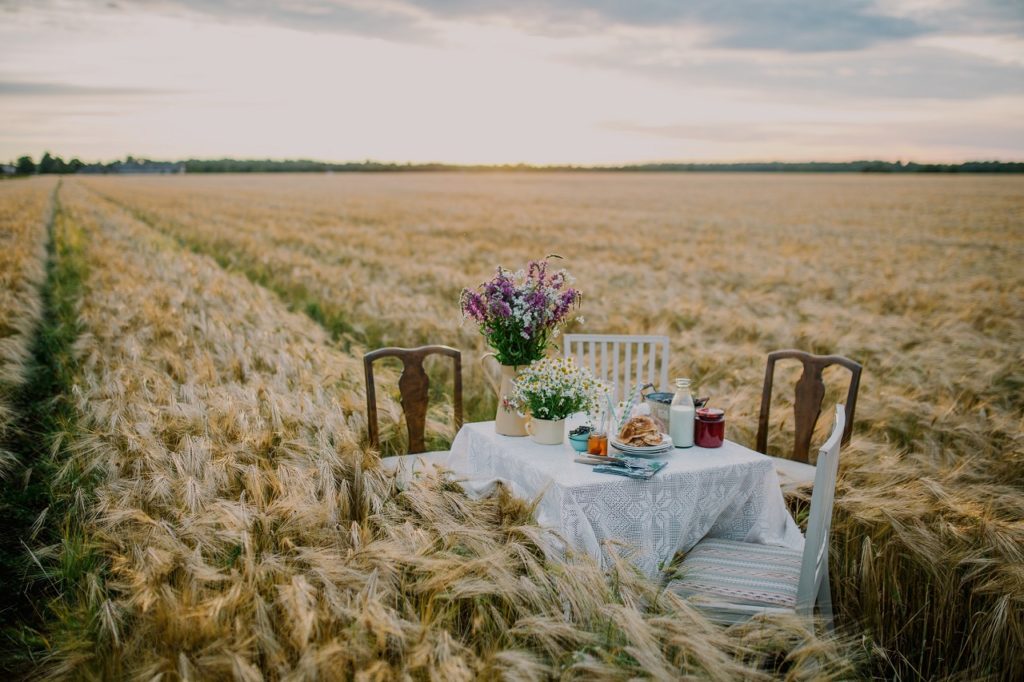 Middag i kornåkeren - Estland - Baltikum - Michelinguiden