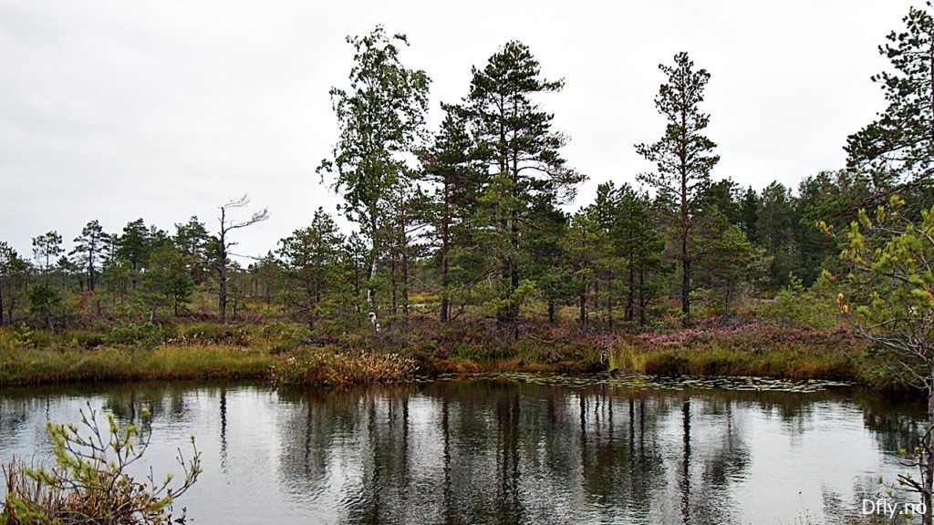 Sooma Nationalpark - Estland