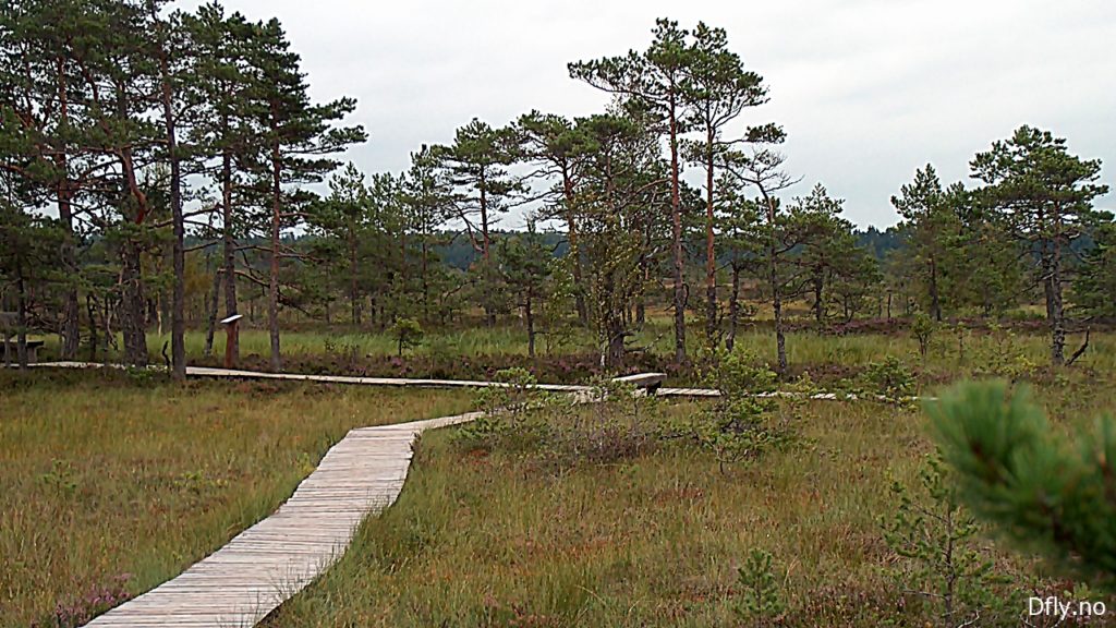 Sooma Nationalpark - Estland