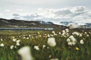 Bergensbanen - Hardangervidda - Tog - VY - 2022