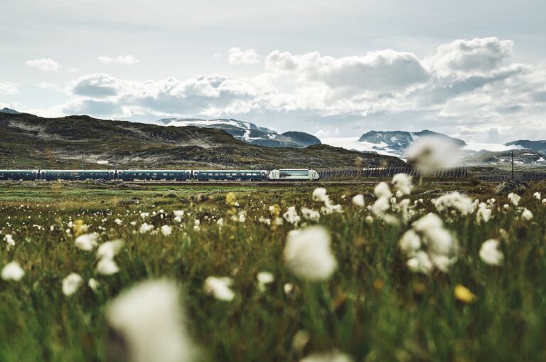 Bergensbanen - Hardangervidda - Tog - VY - 2022