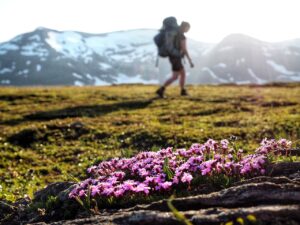 Fjellvandrer - Turist - Store Stormdalen - Saltfjellet - Svartisen nasjonalpark - Nordland - Statskog