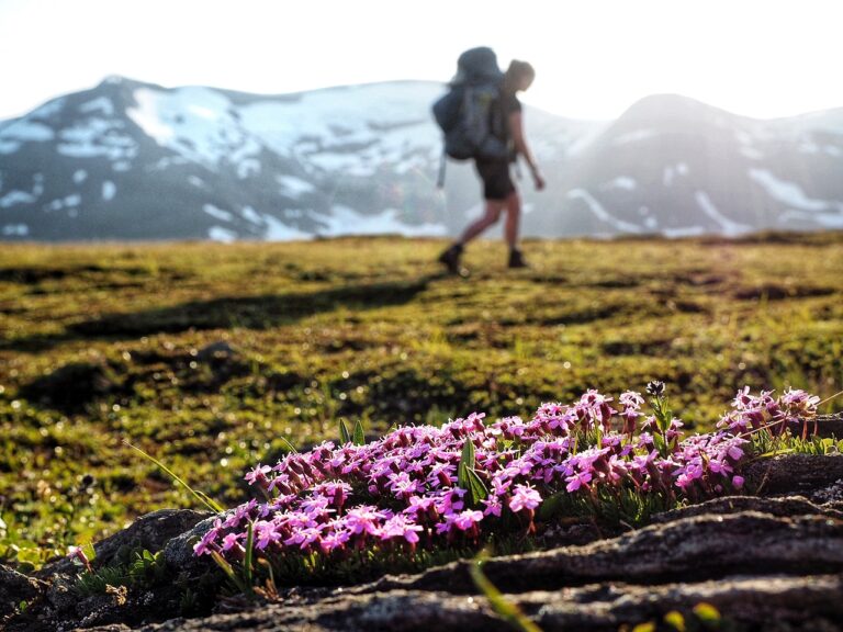 Fjellvandrer - Turist - Store Stormdalen - Saltfjellet - Svartisen nasjonalpark - Nordland - Statskog