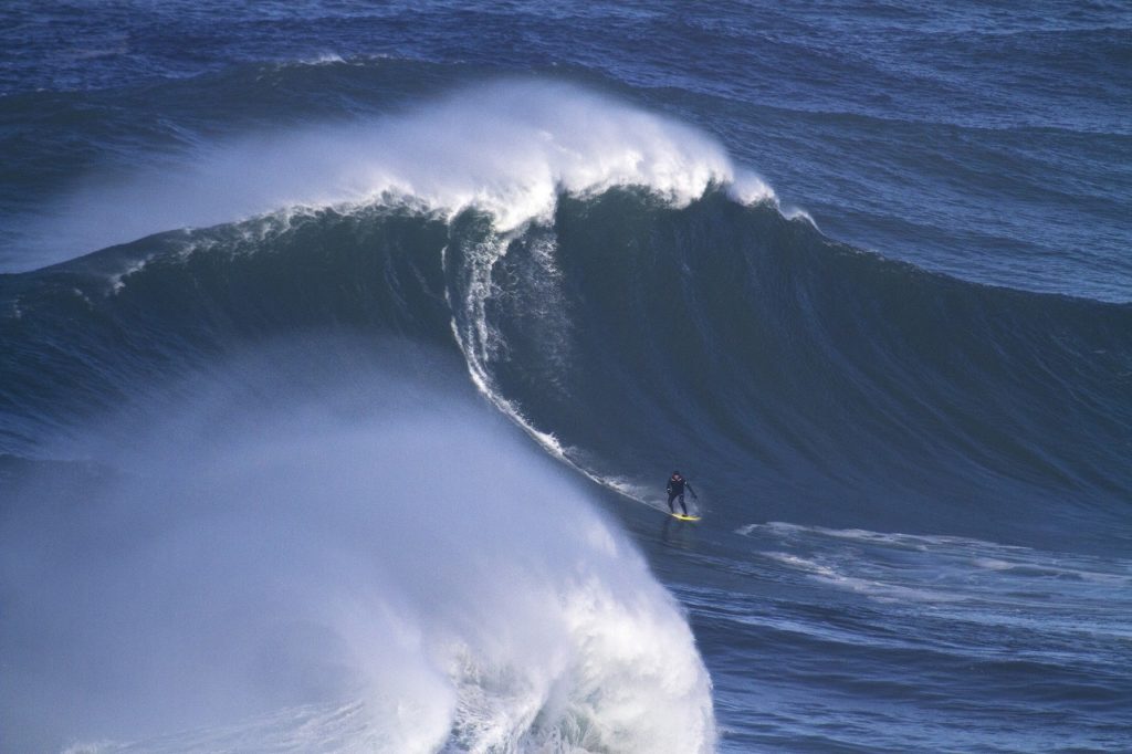 Surfer - Bølge - Atlanterhavet - Nazaré - Portugal