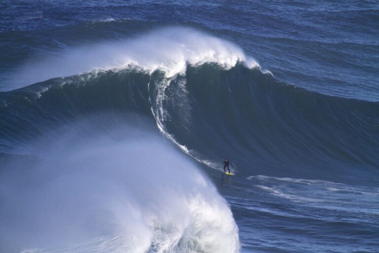 Surfer - Bølge - Atlanterhavet - Nazaré - Portugal