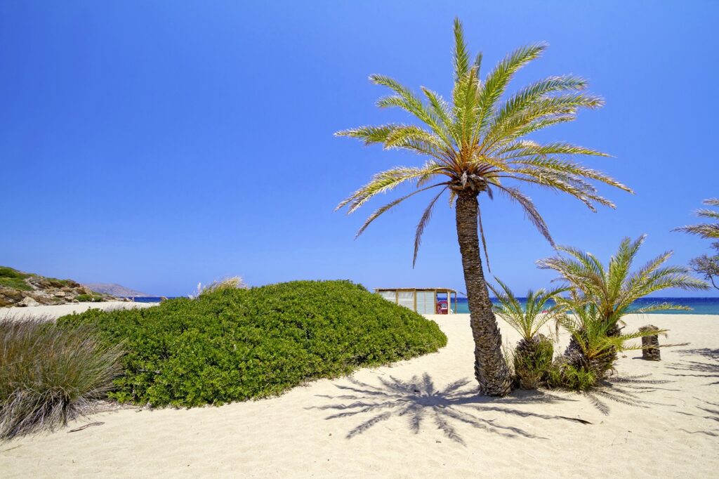 Vai Beach - Badestrand - Kreta - Hellas