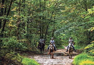 Ridning - Tennessee Natchez Trace Parkway - Roadtriprute - USA