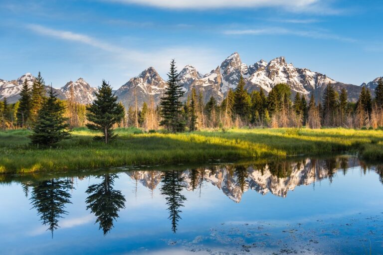Schwabacher Landing - Snake River - Wyoming - USA