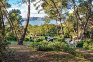 Gruppetur - Hest - Mallorca - Spania