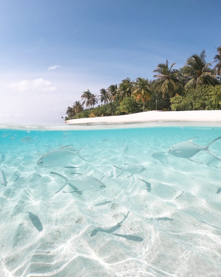 Strand- Maldivene - Sydhavsøyer - Det Indiske hav