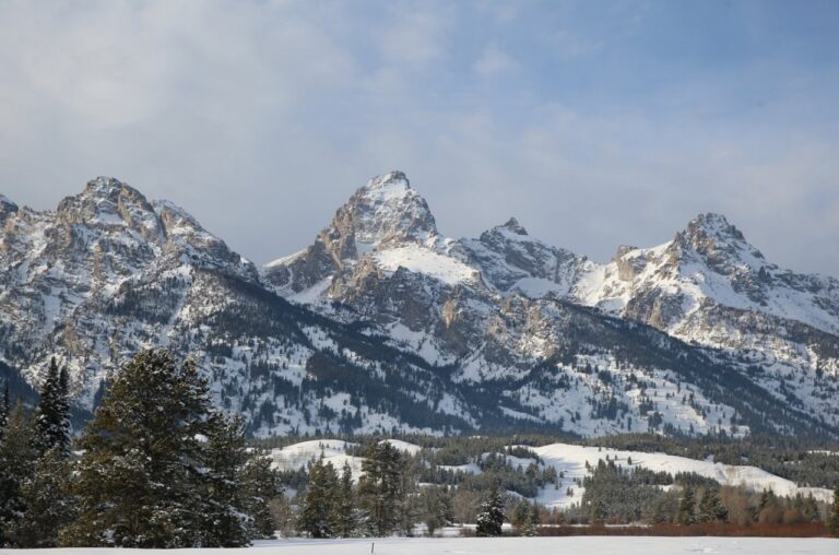 Grand Teton National Park - Wyoming - USA