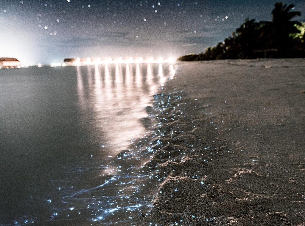 Sea of Starts - Selvlysende strand - Vaadhoo - Maldivene