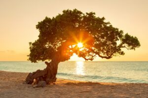 Solnedgang på Aruba