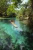 Høye trær står langs elvebredden, noe som både gir skygge for båtfolket og huser et fargerikt dyreliv (Bildekilder: Jamaica Tourist Board/Related.dk)